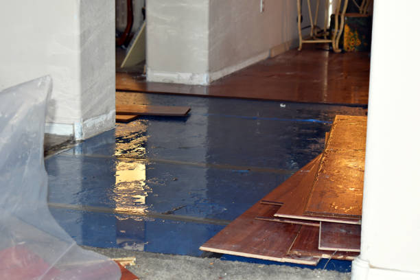 Professional Basement Flood Cleanup technician working in Black Creek, WI